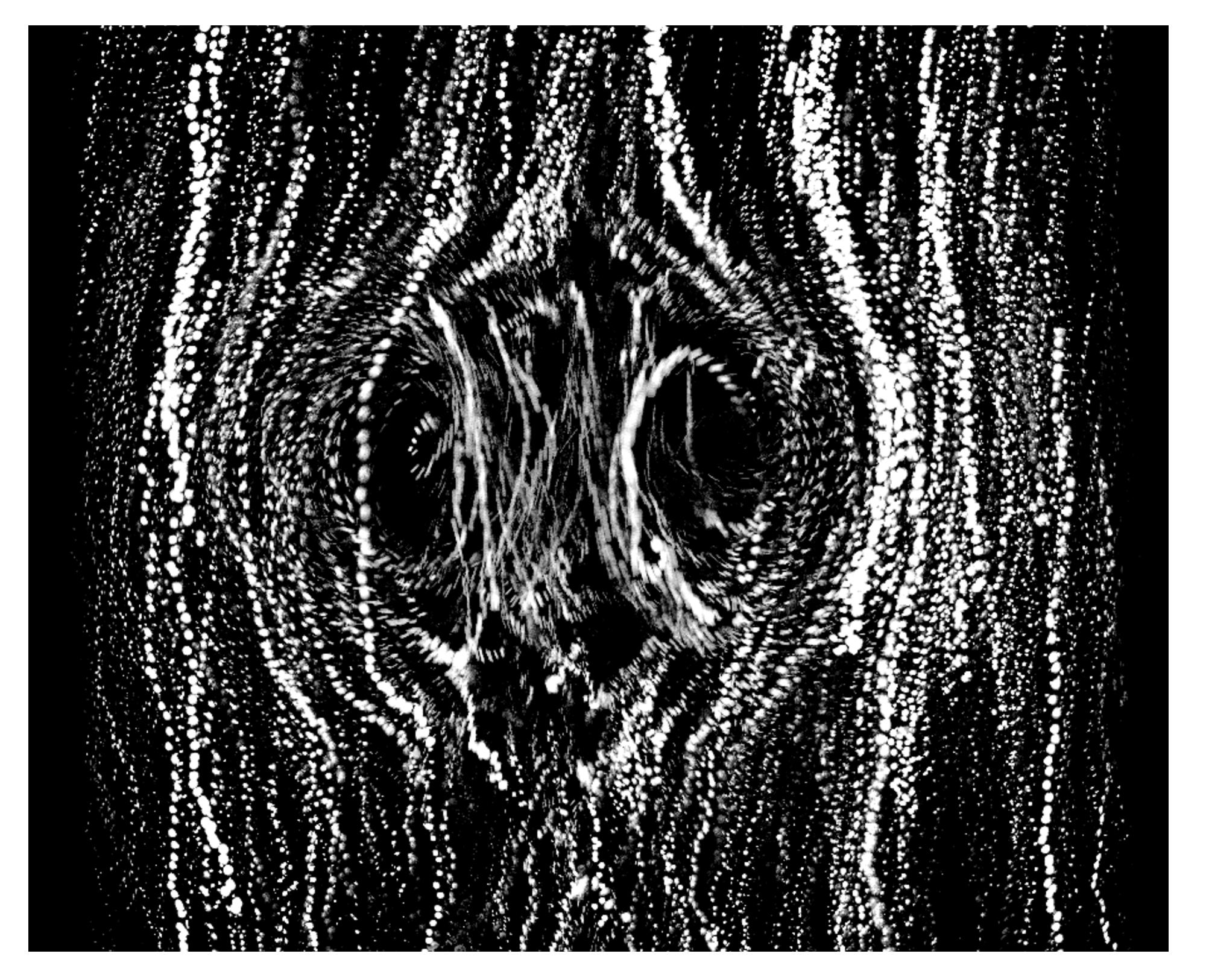 On the Determination of Vortex Ring Vorticity Using Lagrangian ...