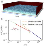 Direct and Inverse Cascades in Turbulent Bose-Einstein Condensates